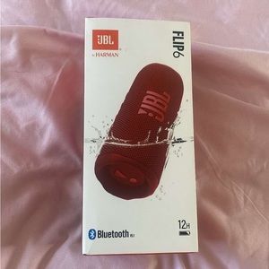 JBL Flip 6